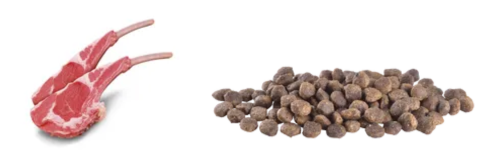 BC_MINI_GF_ADULT_LAMB_2KG_6